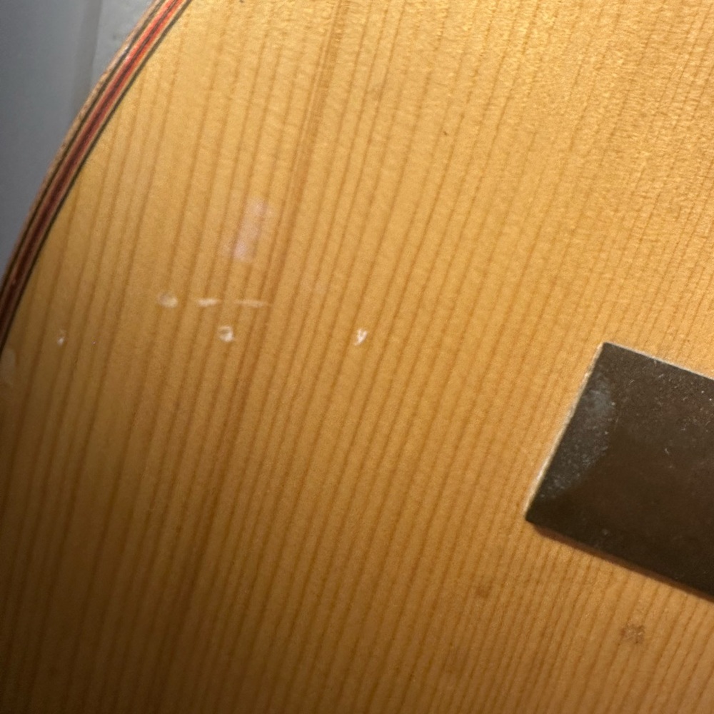 Giannini Aciustic Guitar AWN85 2916 - Picture 9 of 10